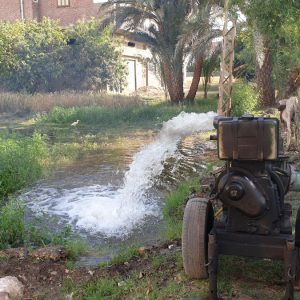 Egypt, Luxor- Traditional – Irrigation, flooding of fields High-Quality Images & Videos The MCA Collection