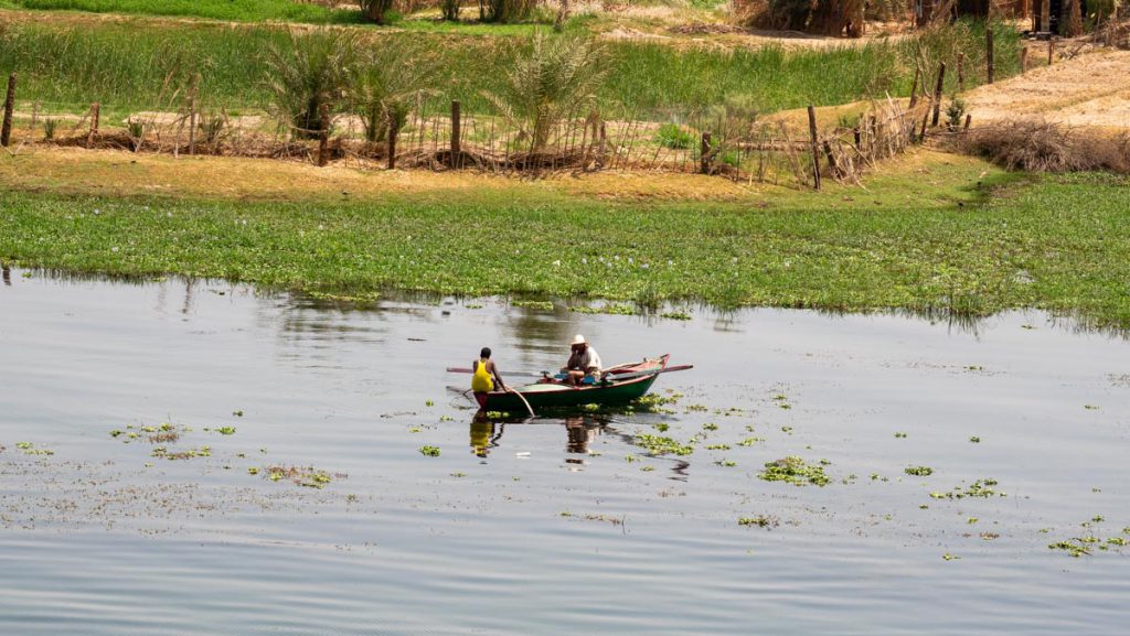 Egypt, Nile river – Traditional fisherman High-Quality Images & Videos The MCA Collection