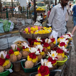 India, Karnataka – Chamundi Hill – Traditional – Flowers market High-Quality Images & Videos The MCA Collection