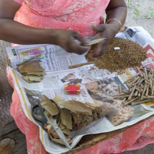 India, Kerala – Kochi -Traditional – Cigarette making High-Quality Images & Videos The MCA Collection