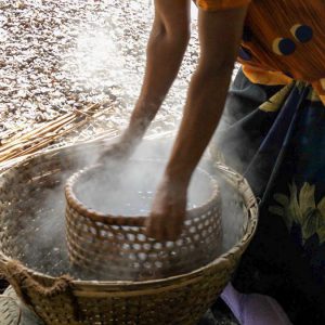 India, Kerala – Kochi -Traditional – Preparation of oysters for eating High-Quality Images & Videos The MCA Collection