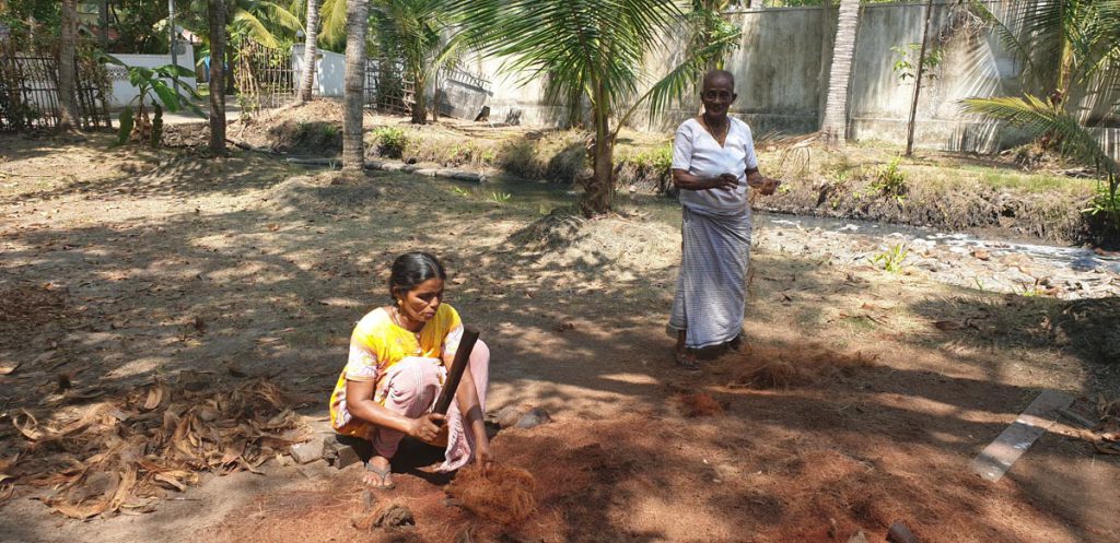 India, Kerala – Kochi -Traditional – Preparation of ropes from coconuts High-Quality Images & Videos The MCA Collection