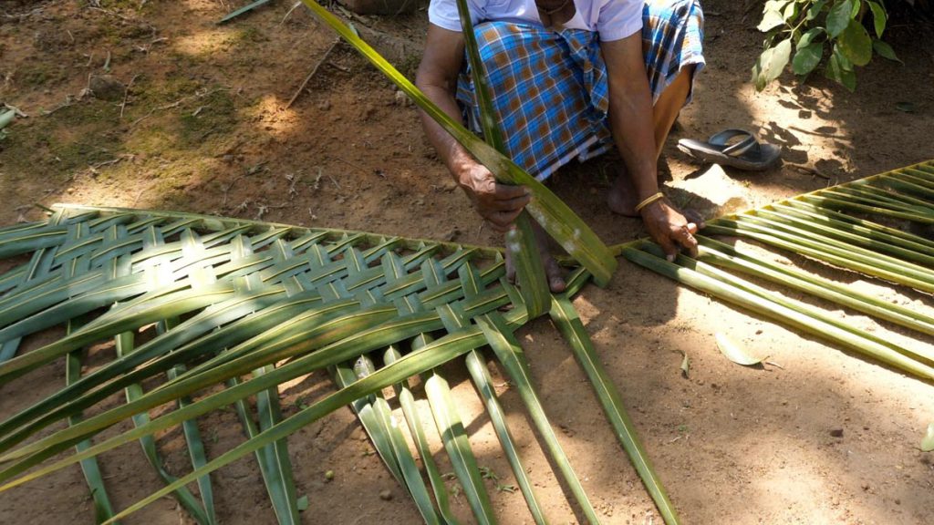 India, Kerala – Kochi -Traditional – Preparation of walls from tree branches to a shed High-Quality Images & Videos The MCA Collection