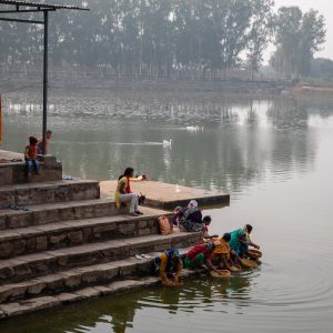 India, Madhya Pradesh – Traditional – cleaning tools High-Quality Images & Videos The MCA Collection