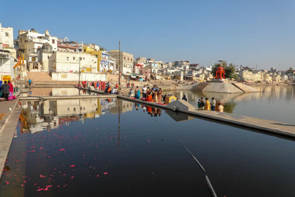 India, Rajasthan – Pushkar- Traditional – Pilgrims throw roses into lake Pushkar High-Quality Images & Videos The MCA Collection