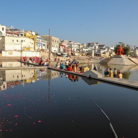 India, Rajasthan - Pushkar- Traditional - Pilgrims throw roses into lake Pushkar