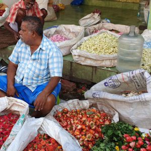India, Tamil Nadu – Madurai – Traditional – flower market India, Tamil Nadu – Madurai – Traditional – flower market High-Quality Images & Videos The MCA Collection