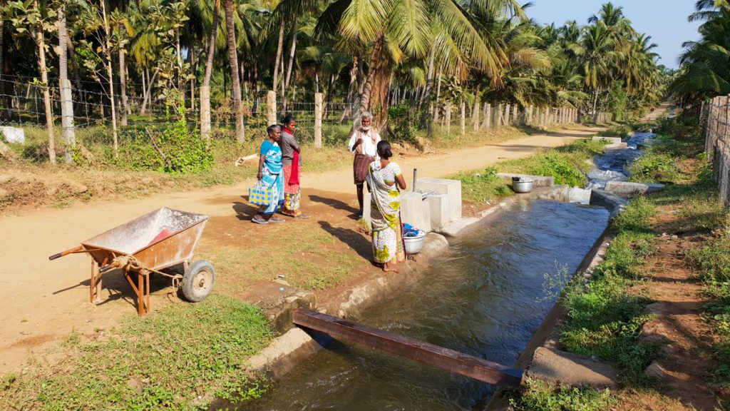 India, Tamil Nadu – Traditional – Laundry in water cannal High-Quality Images & Videos The MCA Collection