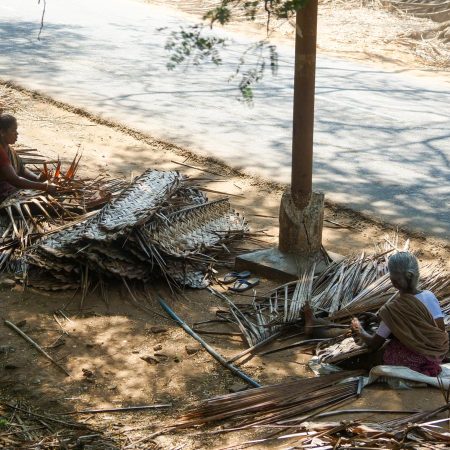 India, Tamil Nadu - Traditional  - Preparing of mats from coconuts tree branches