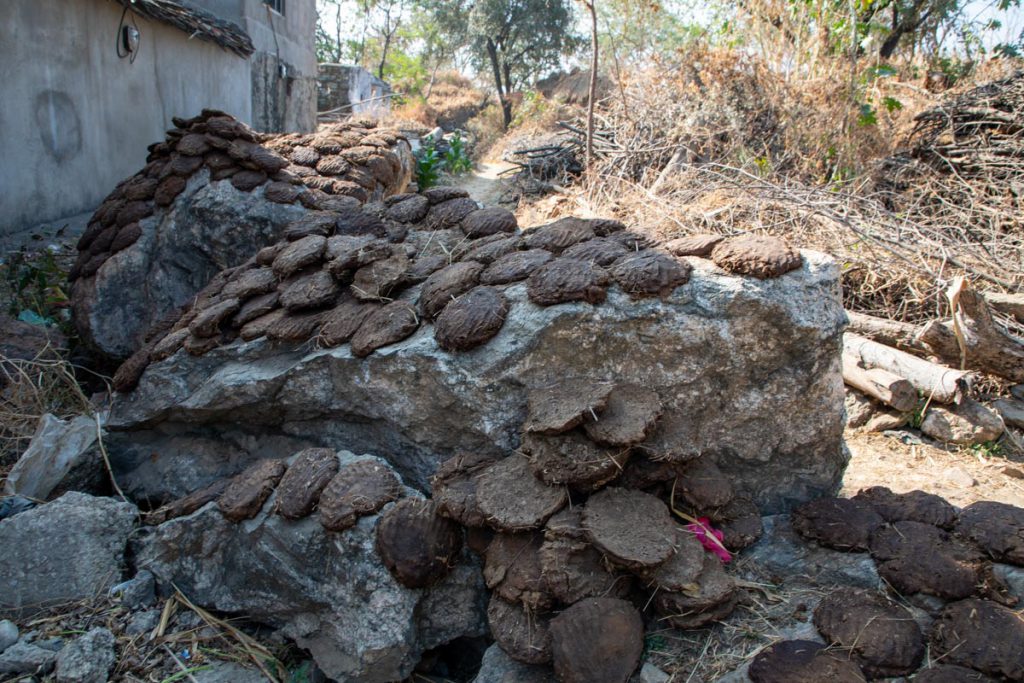India, Uttar Pradesh – Traditional – “Dung Cakes” for heating High-Quality Images & Videos The MCA Collection