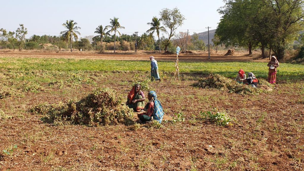India, Uttarakhand – Traditional – Farmers High-Quality Images & Videos The MCA Collection