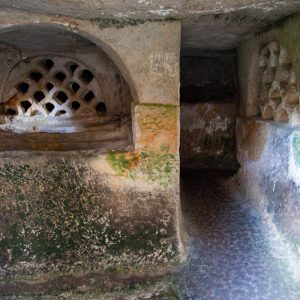 Italy, Sicily – Akrai burial caves High-Quality Images & Videos The MCA Collection