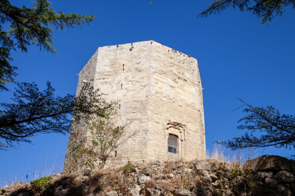 Italy, Sicily – Enna, Tower of Frederick II (00:01:20) High-Quality Images & Videos The MCA Collection