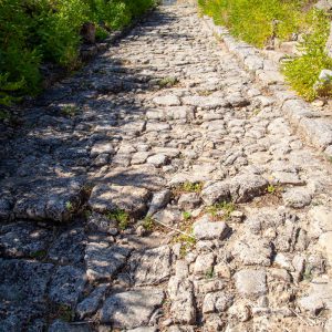 Italy, Sicily – Morgantina – Roman Road High-Quality Images & Videos The MCA Collection