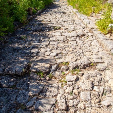 Italy, Sicily - Morgantina - Roman Road