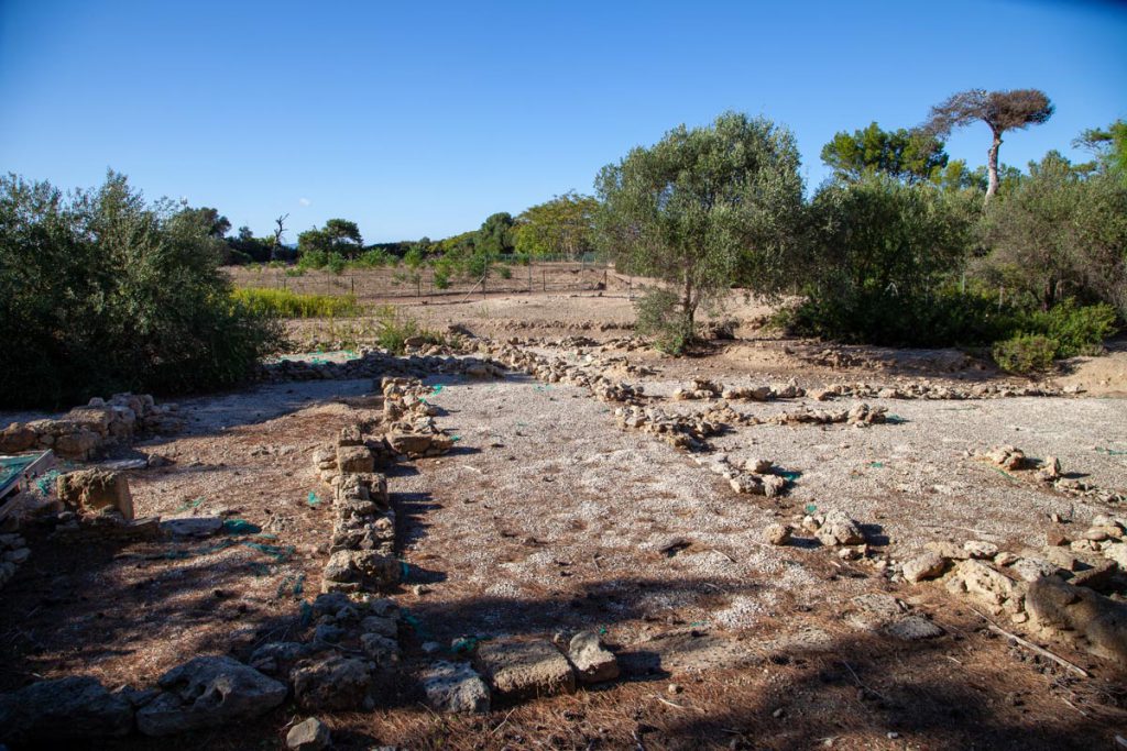 Italy, Sicily – Motya – House of Amphorae High-Quality Images & Videos The MCA Collection
