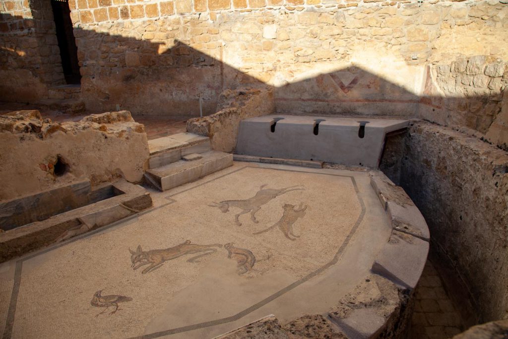 Italy, Sicily – Roman Villa – Villa Romana del Casale – Latrine (00:00:20) High-Quality Images & Videos The MCA Collection