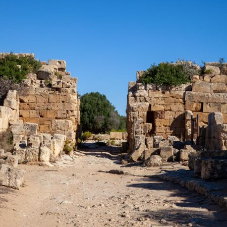 Italy, Sicily – Selinunte gate (00:01:00) Italy, Sicily - Selinunte gate (00:01:00)