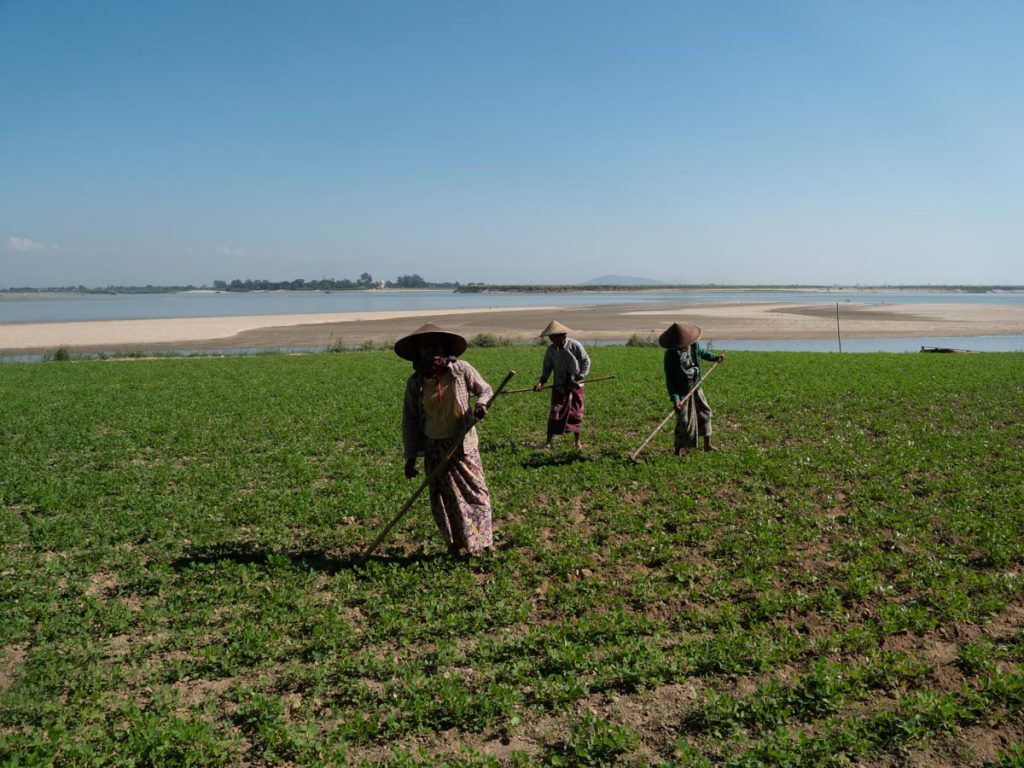 Myanmar, Mingun – traditional – Agriculture High-Quality Images & Videos The MCA Collection