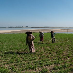 Traditional Work and Agriculture