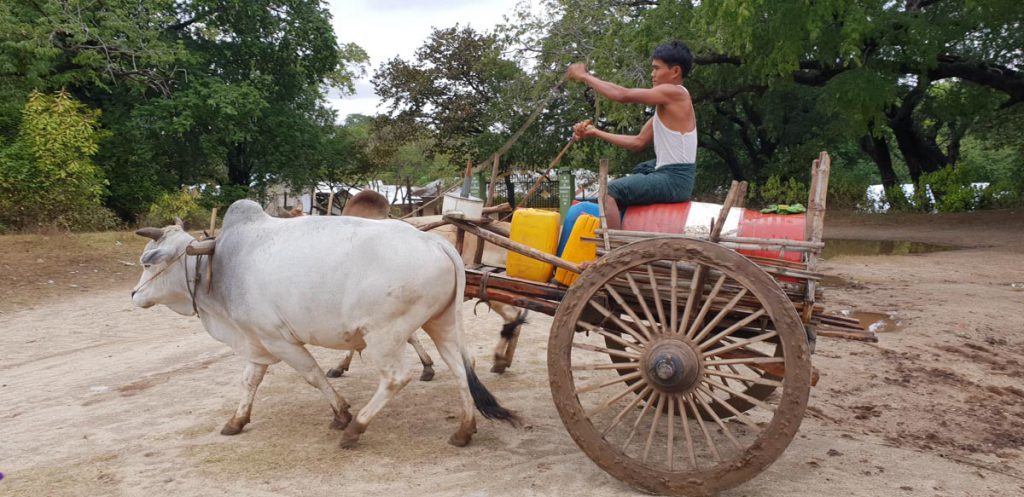 Myanmar, traditional – Bull wagon carrying water High-Quality Images & Videos The MCA Collection