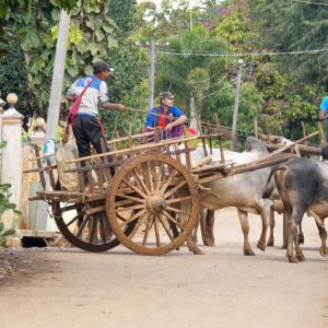 Myanmar, traditional – Burmese Bull Carts High-Quality Images & Videos The MCA Collection