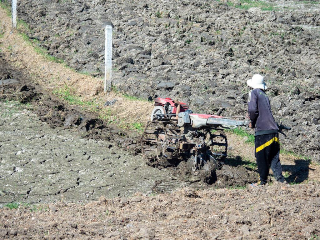 Myanmar, traditional – Field plowing High-Quality Images & Videos The MCA Collection