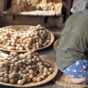 Myanmar, traditional – Inle Lake – Preparation of soy leaves High-Quality Images & Videos The MCA Collection