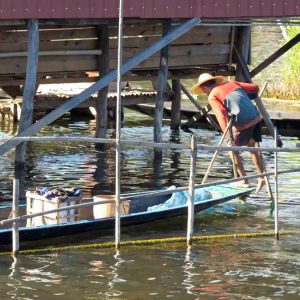 Myanmar, traditional – Inle Lake -fishing with net High-Quality Images & Videos The MCA Collection