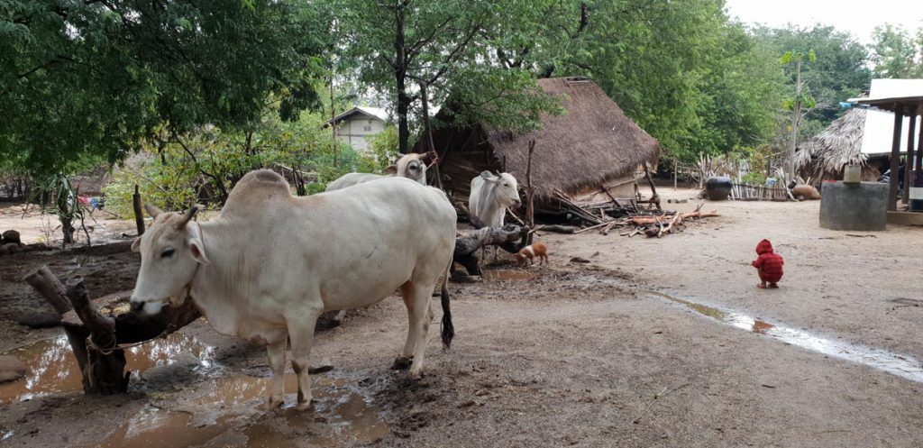 Myanmar, traditional – Local village High-Quality Images & Videos The MCA Collection