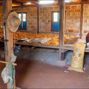Myanmar, traditional house in a Burmese village High-Quality Images & Videos The MCA Collection