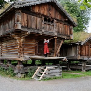 Norway, Traditional  instruments High-Quality Images & Videos The MCA Collection