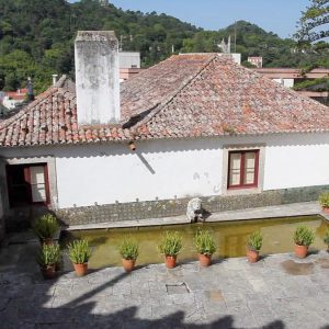Portugal,  Sintra National Palace – Lion Patio (00:00:39) High-Quality Images & Videos The MCA Collection