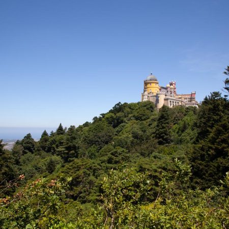 Portugal,  Sintra National Palace - Gardens (00:00:22)