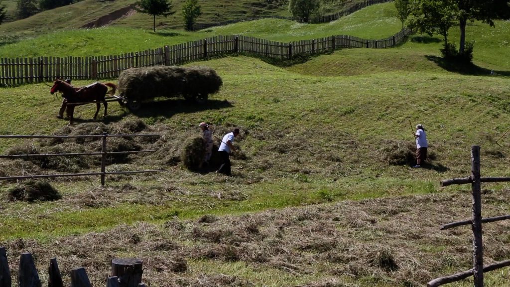 Romania, Traditional – Farmers High-Quality Images & Videos The MCA Collection