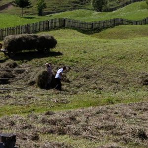 Romania, Traditional – Farmers High-Quality Images & Videos The MCA Collection