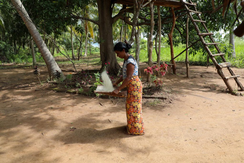 Sri Lanka, Traditional – A Sri Lankan woman prepares traditional rice High-Quality Images & Videos The MCA Collection