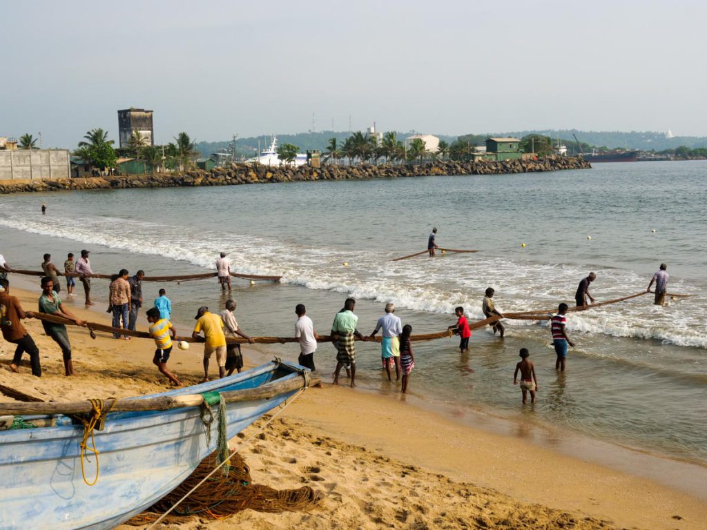 Sri Lanka, Traditional – Fishing with huge nets High-Quality Images & Videos The MCA Collection