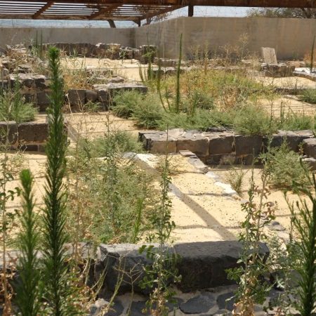 Israel, Beit Shea'n Ancient church (00:00:41)