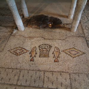 Israel, Sea of Galilee – Tabgha, Church of the the Multiplication of the Loaves and Fish – mosaics (00:01:08) High-Quality Images & Videos The MCA Collection