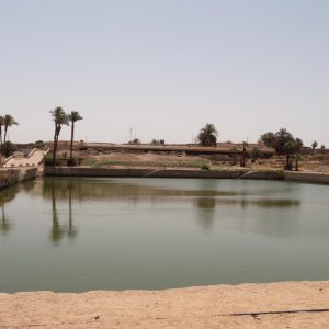 Egypt, Luxor – Karnak  Temple – Sacred Lake (00:00:35) High-Quality Images & Videos The MCA Collection