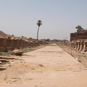 Egypt, Luxor – Karnak  Temple – Southern Dromos (00:00:10) High-Quality Images & Videos The MCA Collection