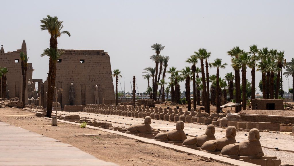 Egypt, Luxor – Temple of Luxor – Dromos of Sphinxes of Nectanebo I (00:01:09) High-Quality Images & Videos The MCA Collection