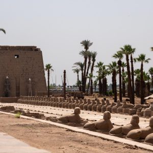 Egypt, Luxor – Temple of Luxor – Dromos of Sphinxes of Nectanebo I (00:01:09) Egypt, Luxor – Temple of Luxor – Dromos of Sphinxes of Nectanebo I (00:01:09) High-Quality Images & Videos The MCA Collection