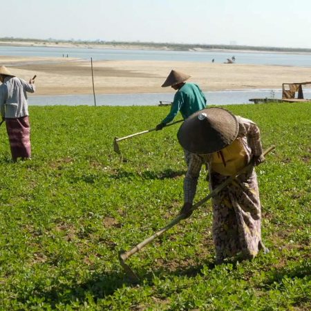 World - Traditional - Agriculture (00:20:32)