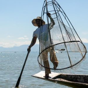 World - Mix - Traditional