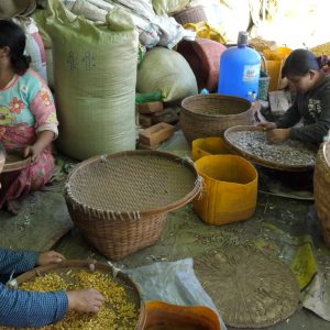 World – Traditional – Making Food (00:56:02) High-Quality Images & Videos The MCA Collection
