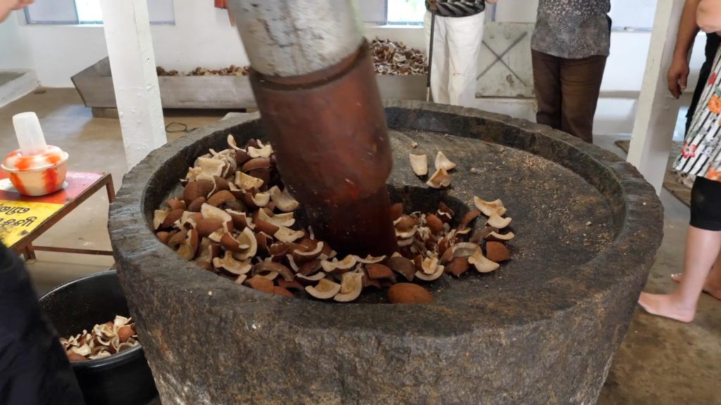 World – Traditional – Using Coconuts (00:17:18) High-Quality Images & Videos The MCA Collection