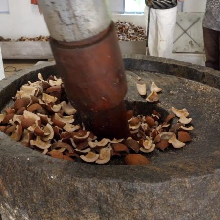 World - Traditional - Using Coconuts (00:17:18)