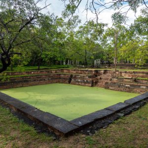 Sri Lanka, Anuradhapura – Sacred Ponds High-Quality Images & Videos The MCA Collection